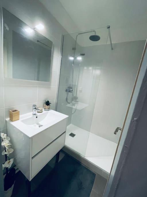Appartement En Centre Ville, Wifi Et Tram مونبيلييه المظهر الخارجي الصورة